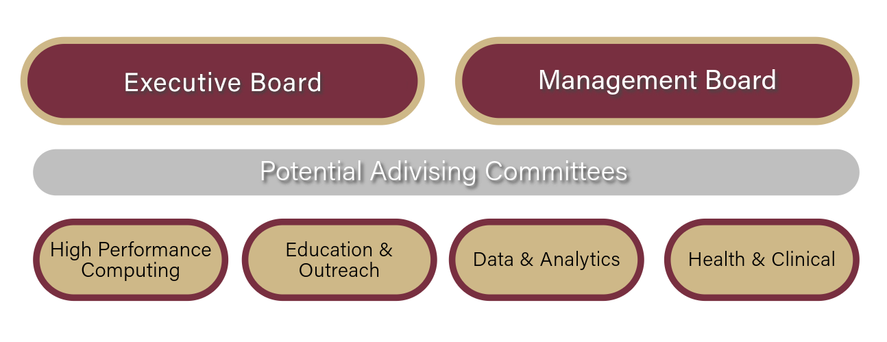 RCC Governance Diagram